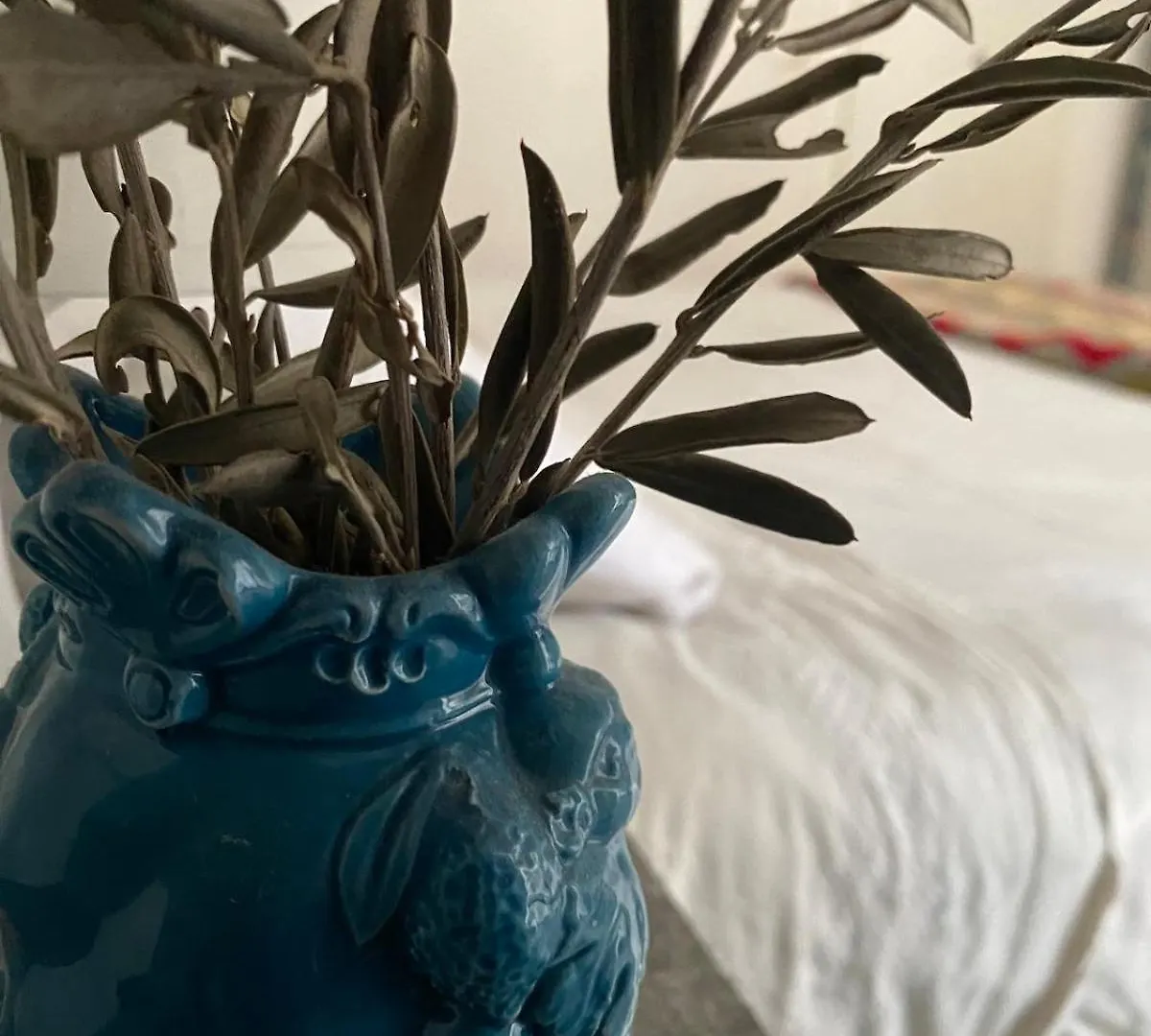 Dimora Romana A Torrevecchia Apartment Rome